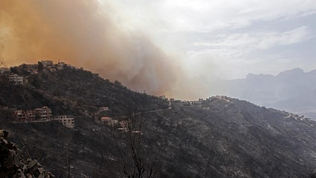 Death toll from Algeria wildfires rises to 12, dozens injured