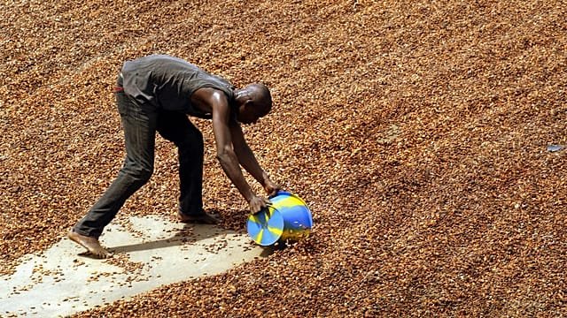 Ivory Coast cocoa buyout completed, authorities say