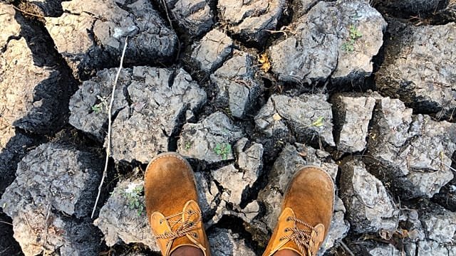 Sudan farms lie barren as El Nino leaves Nile banks dry