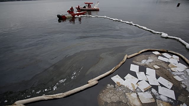 Brazilian firm uses hair to help clean up oil spills and pollution