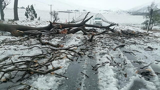 South Africa weather alert: snow, hail and icy roads disrupt travel