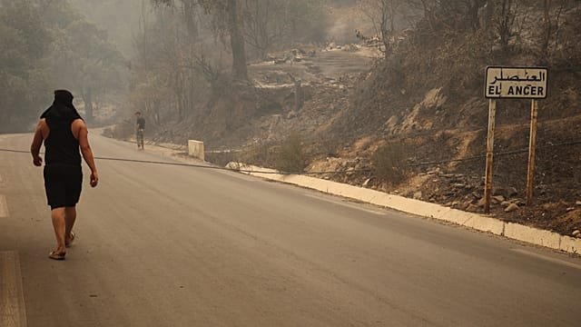 Funerals held for victims of Algeria’s deadly wildfires