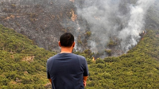 Algeria moves to restore death penalty for deliberate forest fires